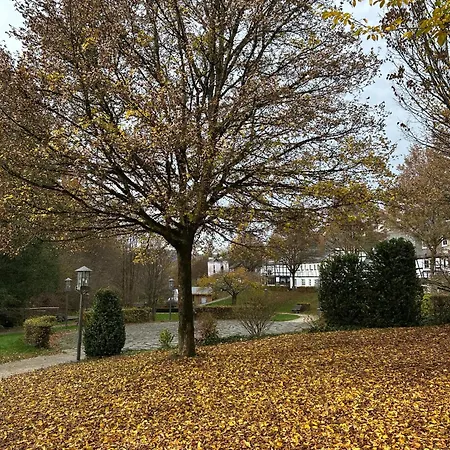 Wiese Schmallenberg