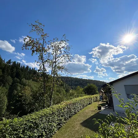 Holiday home Wiese *