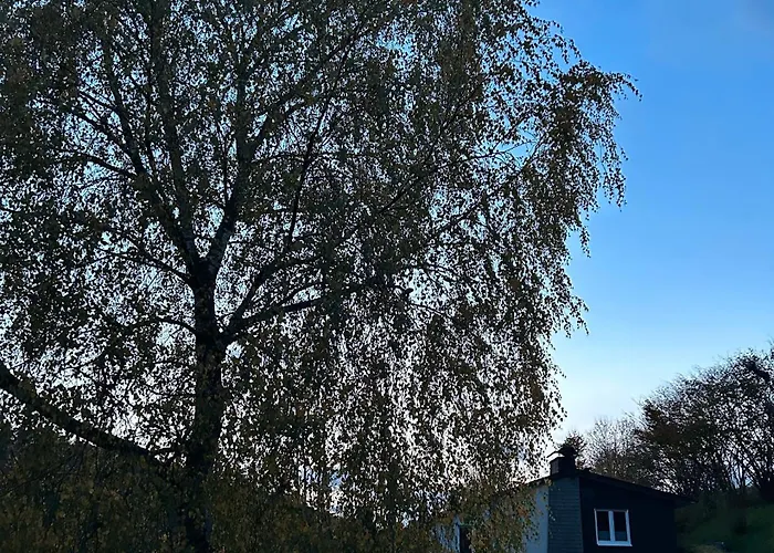 別荘 Wiese シュマレンベルク